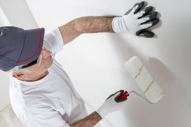 Best Mold Odor Removal Services  in Mcdonough, GA