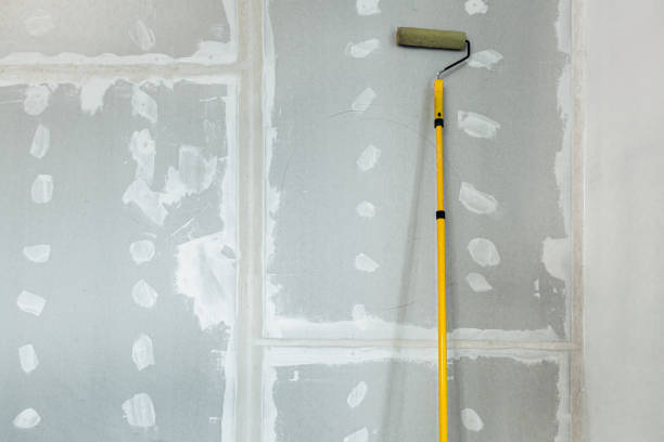 Best Forensic Mold Investigation  in Mcdonough, GA