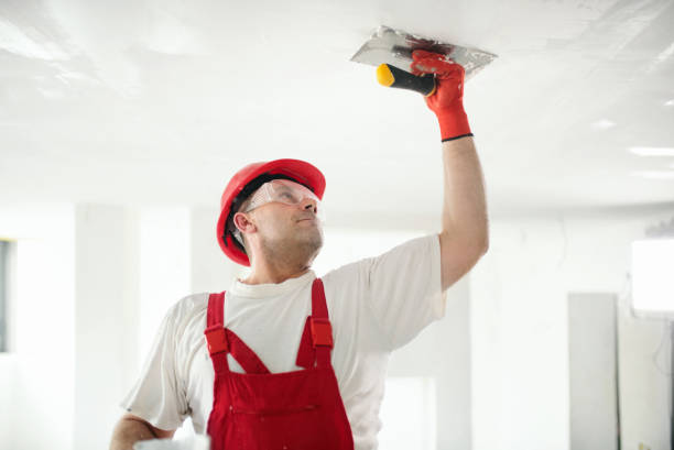 Best Mold Documentation for Insurance Claims  in Mcdonough, GA