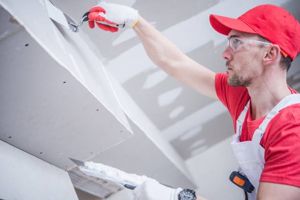 Mold Remediation for Vacation Homes in Mcdonough, GA